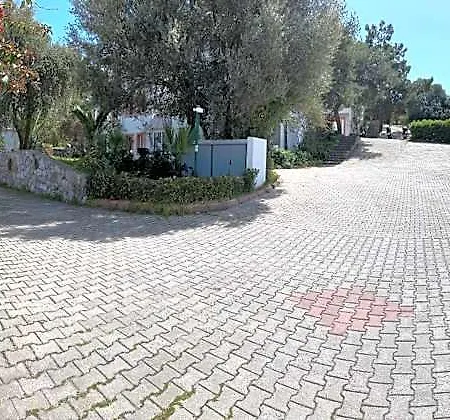 Pinky Bodrum 검벳